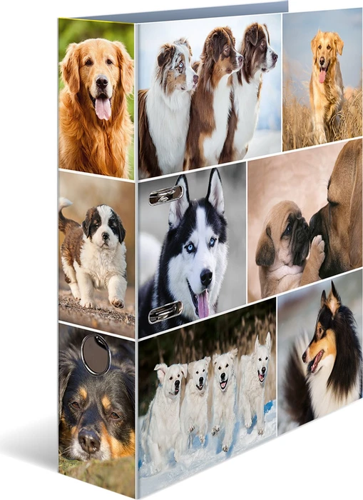 Herma Ordner 2-Ring mit Motiv, 70mm, A4, Animals Hunde