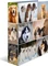 Herma Ordner 2-Ring mit Motiv, 70mm, A4, Animals Hunde Vorschaubild