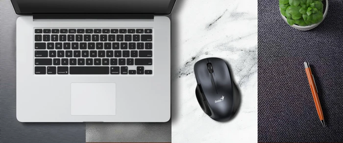 Genius Ergo 8200S Wireless Silent Mouse braun/schwarz, USB