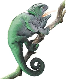 Folkmanis Handpuppe Chamäleon