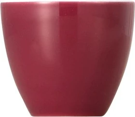 Thomas Sunny Day Colours Eierbecher fuchsia