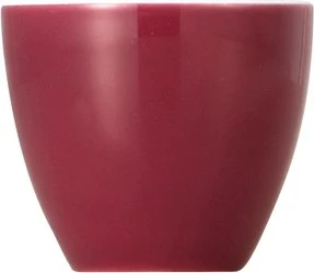 Thomas Sunny Day Colours Eierbecher fuchsia
