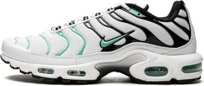 Nike Air Max Plus schwarz (Herren)