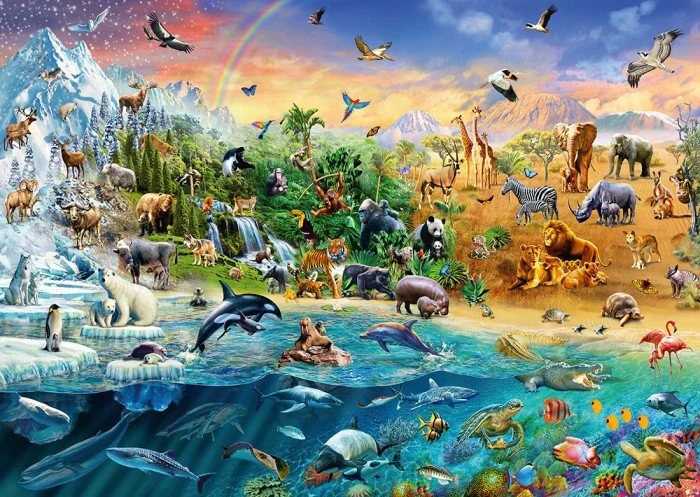 Schmidt Spiele Die Welt der Tiere