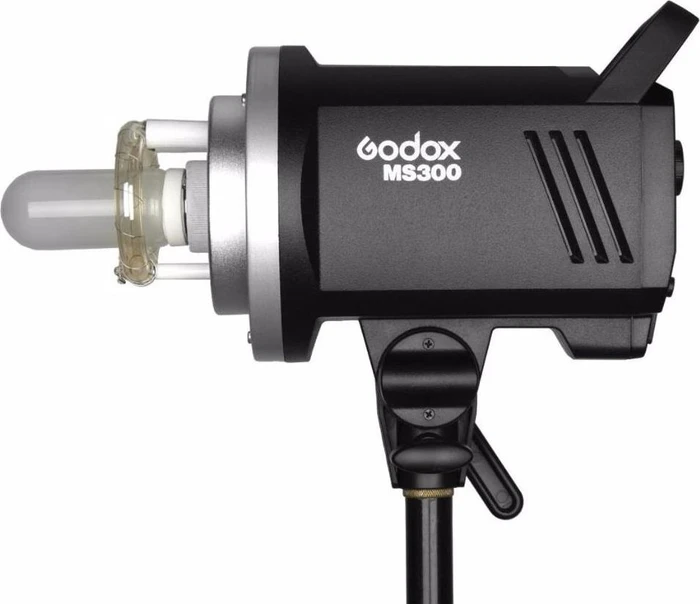 Godox MS300