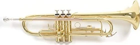 Roy Benson Bb-Trompete TR-101