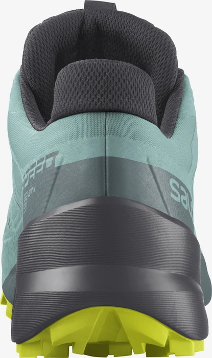 Salomon Speedcross 5 GTX pastel turquoise/ebony/evening primrose (Damen)
