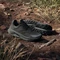 adidas Terrex Soulstride Flow GTX core black/grey six/semi impact orange (Damen) Vorschaubild