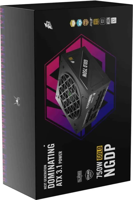 1st Player NGDP Gold schwarz 750W, ATX 3.1