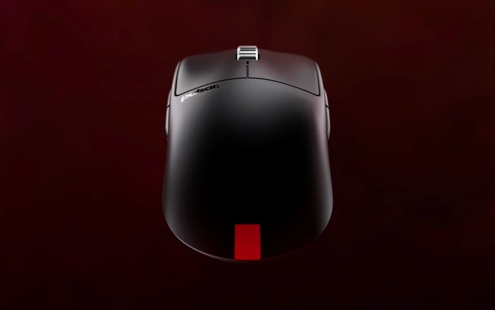Pulsar Gaming Gears X2A v3 eS Medium Wireless schwarz, USB