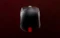 Pulsar Gaming Gears X2A v3 eS Medium Wireless schwarz, USB Vorschaubild