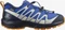 Salomon XA Pro V8 CSWP palace blue/navy blazer/butterscotch (Junior) Vorschaubild