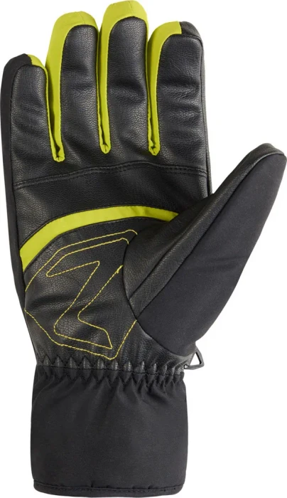 Ziener Galiso-Z GTX + Gore Plus Warm Skihandschuhe electric grass (Herren)