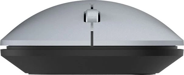 Wortmann Terra NBM1000S Wireless BT Mouse silber, USB/Bluetooth
