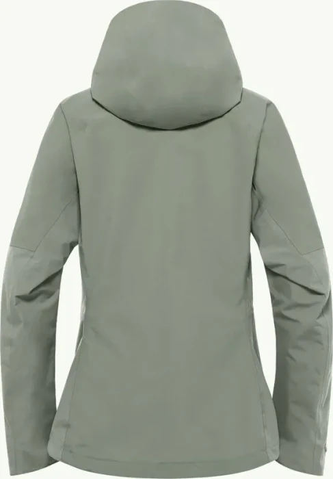 Jack Wolfskin Eagle Peak 2L Funktionsjacke mint leaf (Damen)