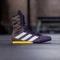 adidas Box Hog 4 aurora black/cloud white/spark Vorschaubild
