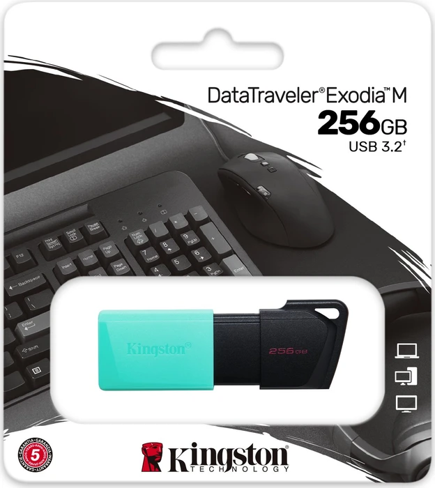Kingston DataTraveler Exodia M 256GB, USB-A, USB 3.2 Gen 1×1