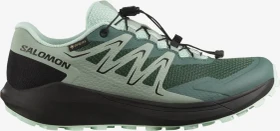 Salomon Temper GTX north atlantic/black/bay (Damen)