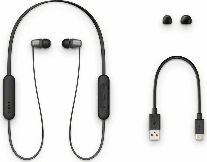 Sony WI-C310 schwarz