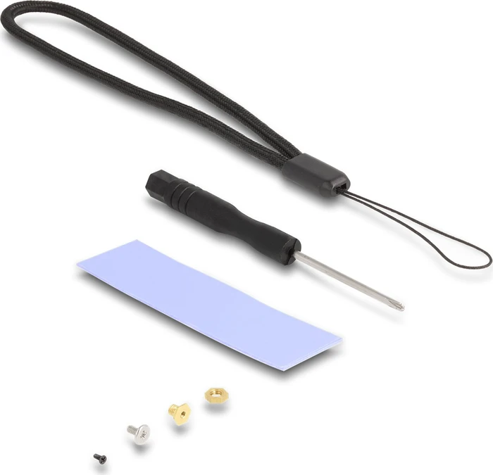 DeLOCK Externes Gehäuse für M.2 PCIe/SATA SSD, USB-A 3.1