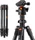 K&F Concept K254C2+BH-36L (KF09.123)