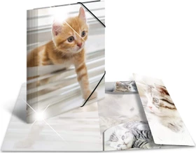 Herma Glossy Tiere Sammelmappe, A4, Katzen, 3er-Pack
