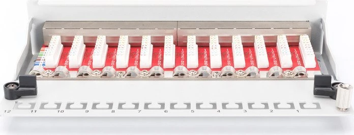 Digitus Professional Patchpanel Cat6a, grau, 12-Port