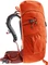 Deuter Climber papaya/redwood (Junior) Vorschaubild