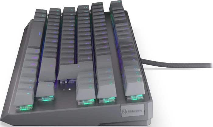 Endorfy Thock V2 TKL, PBT, grau, LEDs RGB, hot-swap, Endorfy RED, USB, DE