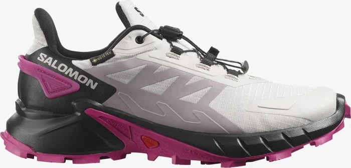 Salomon Supercross 4 GTX ashes of roses/black/very berry (Damen)