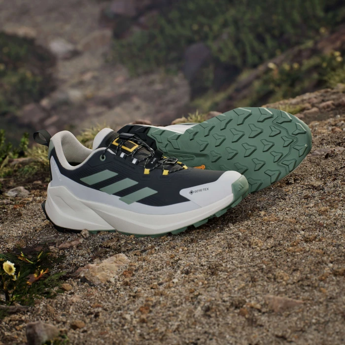adidas National Geographic Terrex Trailmaker 2 GTX Speed Lace carbon/silver green/orbit grey (Herren)