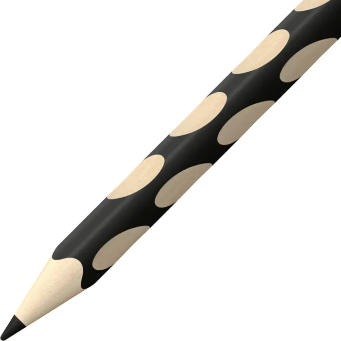 STABILO EASYcolors Buntstift schwarz, Rechtshänder, 12er-Pack