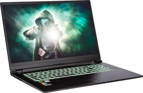 Captiva Highend Gaming I60-988, Core i7-10750H, 16GB RAM, 1TB SSD, GeForce RTX 3080, DE (60988)