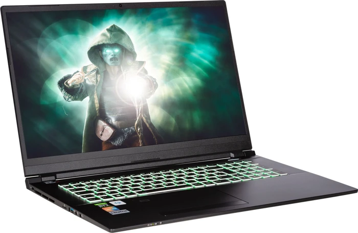Captiva Highend Gaming I61-003, Core i7-10750H, 32GB RAM, 1TB SSD, GeForce RTX 3080, DE