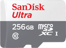 SanDisk Ultra R100 256GB, UHS-I, Class 10