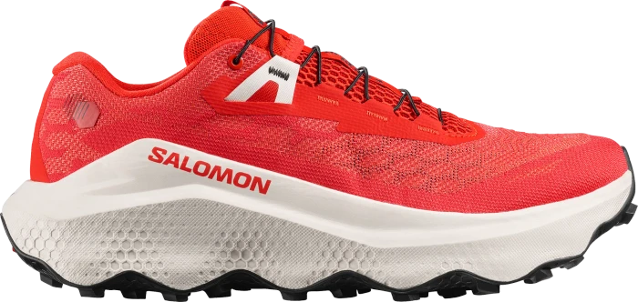 Salomon XA Pro 3D V9 dark gull gray/cloudburst/asphalt (Herren)