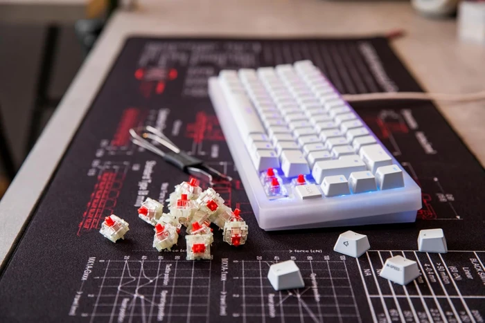 Cherry MX2A RGB Red Switch, 36er-Pack