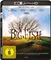 Big Fish - Der Zauber, der ein Leben zur Legende macht Vorschaubild