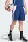 adidas Tiro 24 Sweat Shorts team navy blue 2/white (Herren) Vorschaubild