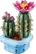 LEGO Botanicals - Blühender Kaktus Vorschaubild