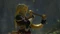 The Legend of Zelda: Ocarina of Time (Switch 2) Vorschaubild