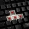 Ducky Shine 7 PBT, LEDs RGB, Blackout Edition, schwarz, MX SILENT RGB RED, USB, DE Vorschaubild