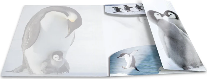 Herma Glossy Tiere Sammelmappe, A4, Pinguine