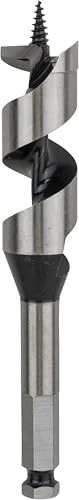 Bosch Professional Schlangenbohrer, 25x100x160mm, 1 Stück