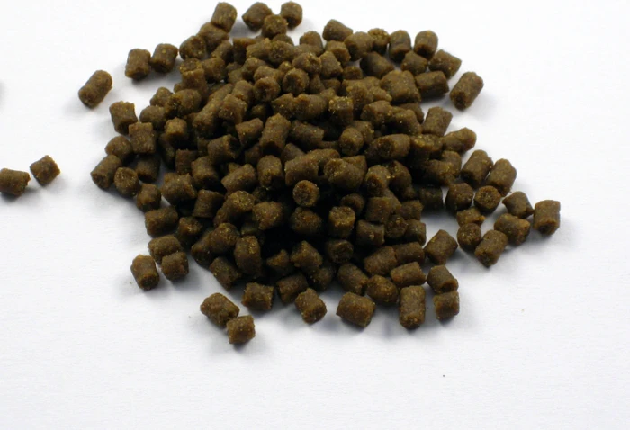 Aquarium Münster Dr. Bassleer Biofish-Food Garlic XXL, 170g