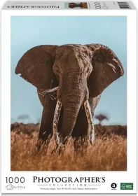 Ambassador Photographers Collection Afrikanischer Elefant