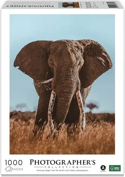 Ambassador Photographers Collection Afrikanischer Elefant