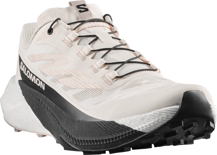 Salomon Pulsar vanilla ice/black/silver cloud (Herren)
