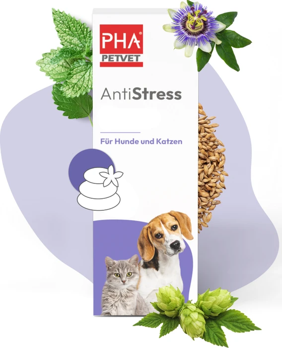 PHA AntiStress, 30 ml