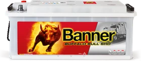 Banner Buffalo Bull SHD 67033